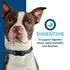 Fromm Nutritionals Digestive Supplement Pate Wet Dog Food 13oz - Poudre Pet & Feed Supply 2